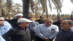 تعهد تعاون روستایی به خرید توافقی خرما برای حمایت از نخلداران خوزستان